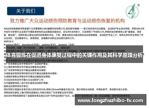 体育锻炼在促进身体康复过程中的关键作用及其科学原理分析